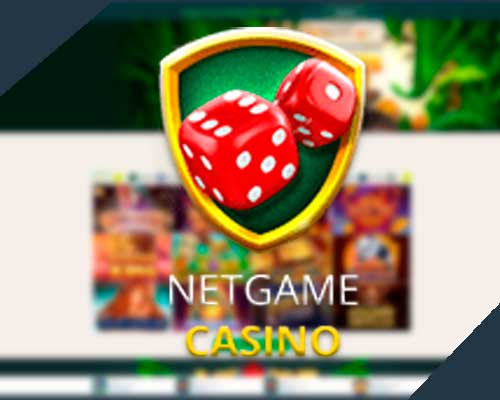 NetGame